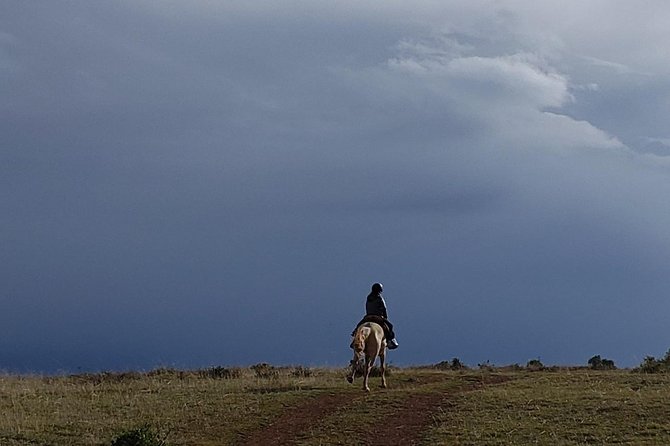 Horseback Tour in cusco to Temple of the Moon & Hidden temples - Key points at a glance