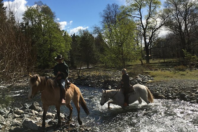 Horseback Trailride Excursion - Leaving Pucón for the Antilco ranch