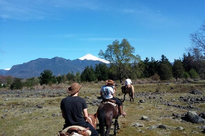 Horseback Trailride Excursion - Price, timing, and overall value