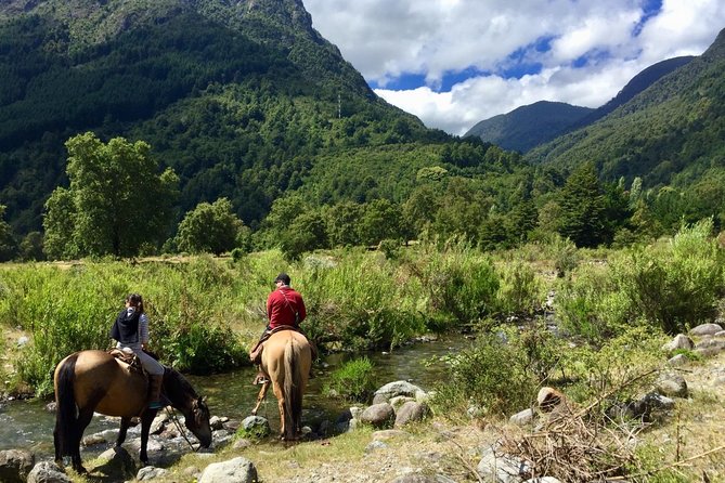 Horseback Trailride Excursion - The first miles: pasture, pacing, and horse sense