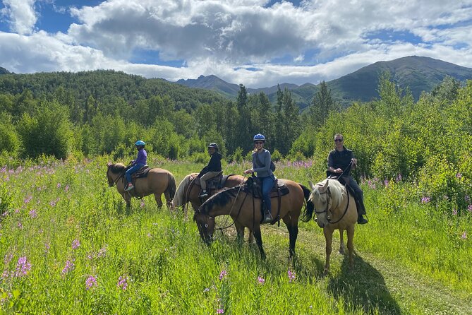 Horseback & Zipline Adventure in Alaska Mountains includes Lunch - Key details before you book