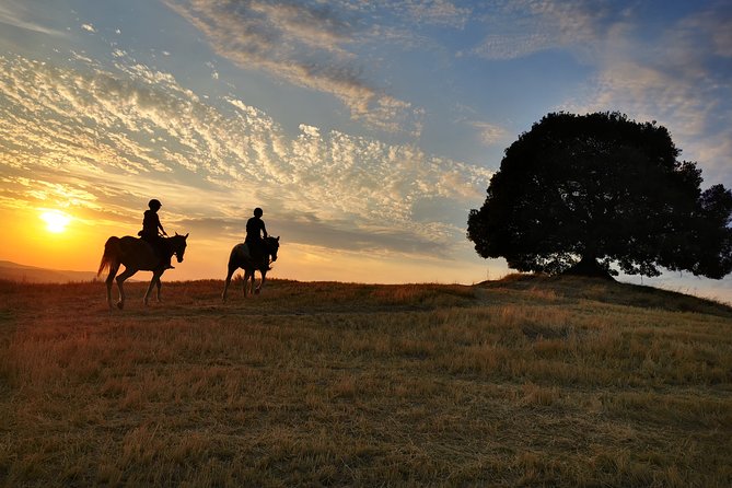 Horsebackriding - explore Tuscan nature - Why the small group of five matters