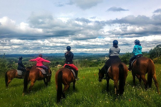 Horsebackriding - explore Tuscan nature - What the ride feels like for a first timer