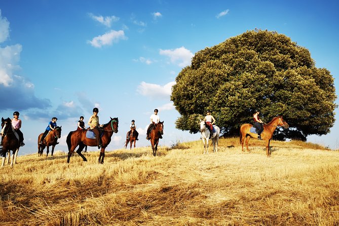 Horsebackriding - explore Tuscan nature - Horse care and the important welfare question