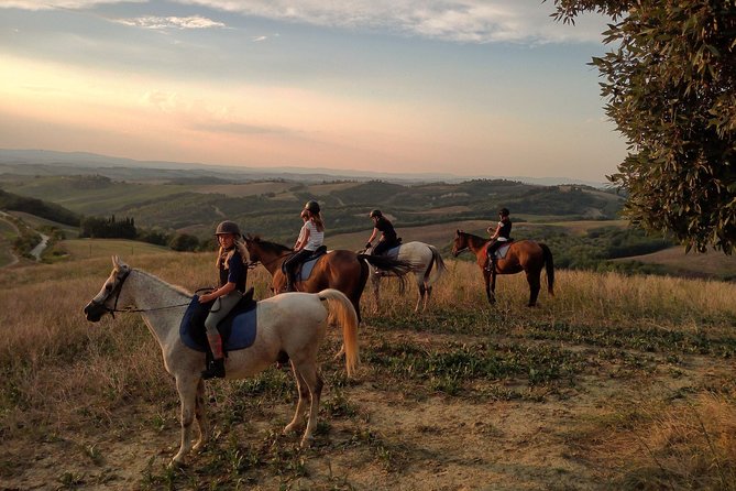 Horsebackriding - explore Tuscan nature - Is $102.12 a fair price?
