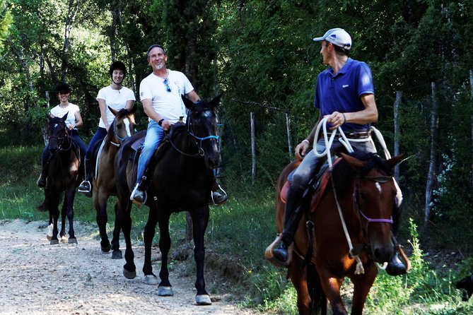 Horsemanship Experience - Learning to handle the horse in the arena