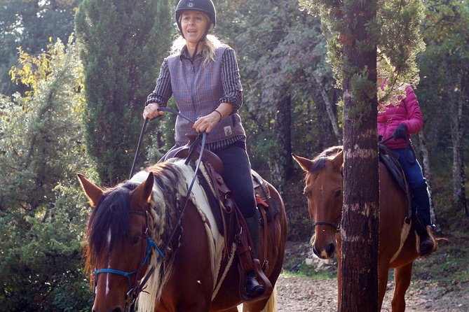 Horsemanship Experience - Eric’s Parelli approach and the human-horse connection