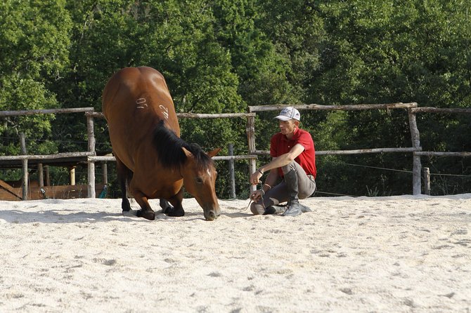 Horsemanship Experience - Returning to the ranch and slowing down