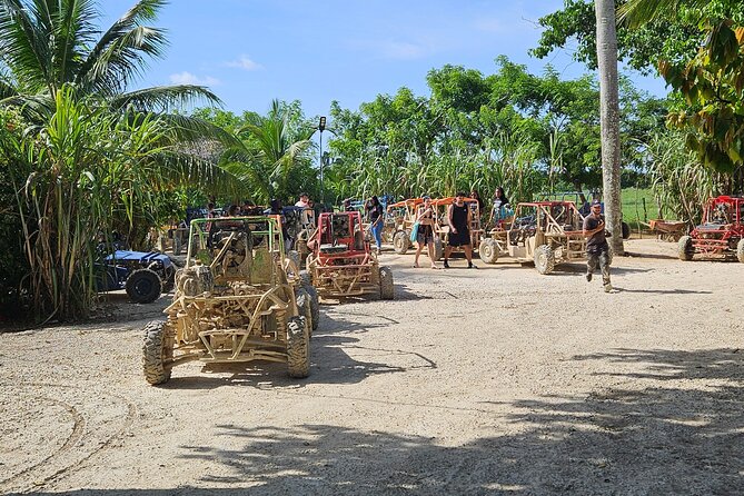 Horses, Buggy, and plantation in Chocaci Ranch - At a glance