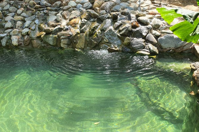 Horses on The Beach or Hot Springs - The hot springs add something special