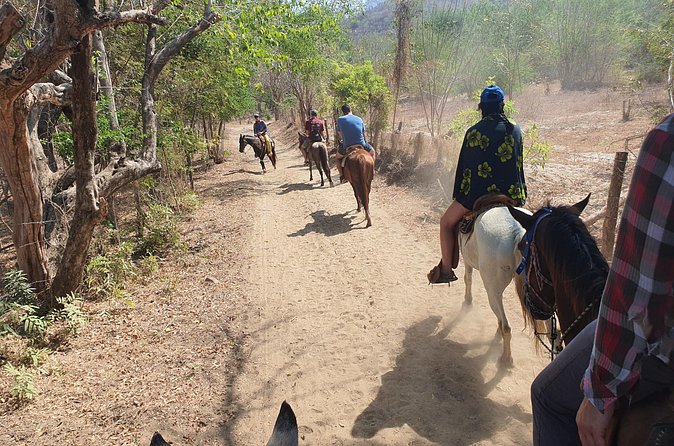 Horses on The Beach or Hot Springs - Why the small group matters