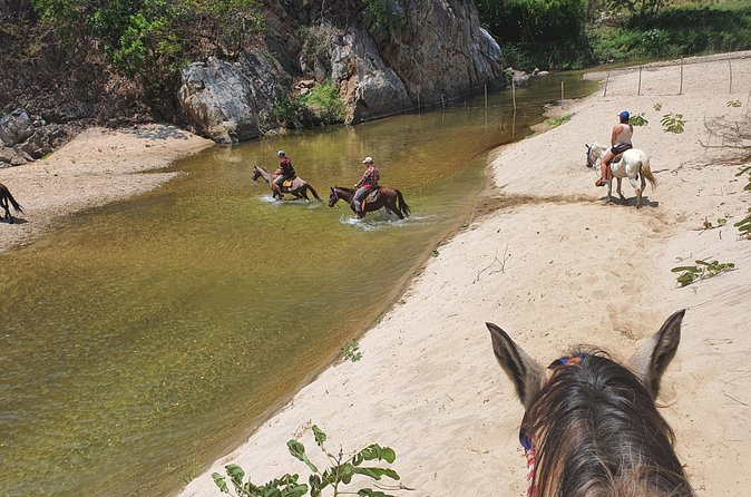 Horses on The Beach or Hot Springs - Pickup makes the day easier