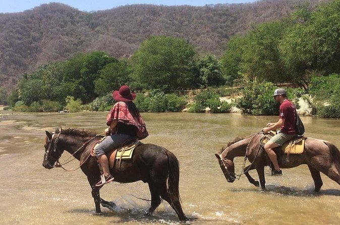 Horses on The Beach or Hot Springs - Who will enjoy this most?
