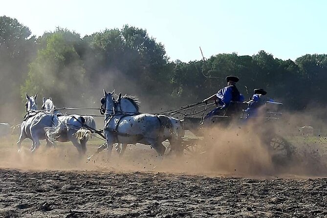 Horseshow on the Hungarian Puszta, private tour from Budapest with entry! - Meeting the horses at the stables