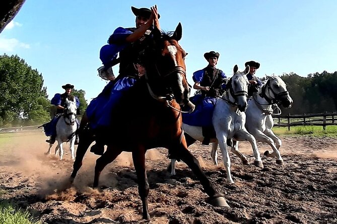 Horseshow on the Hungarian Puszta, private tour from Budapest with entry! - Practical details that affect your decision