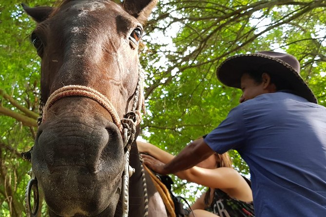 Hot Springs Horseback Riding Adventure - What the Included Transport and Small Group Add