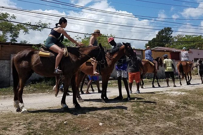 Hour Horseback Riding Guided Tour from Runaway Bay - The beach ride and optional ocean swim