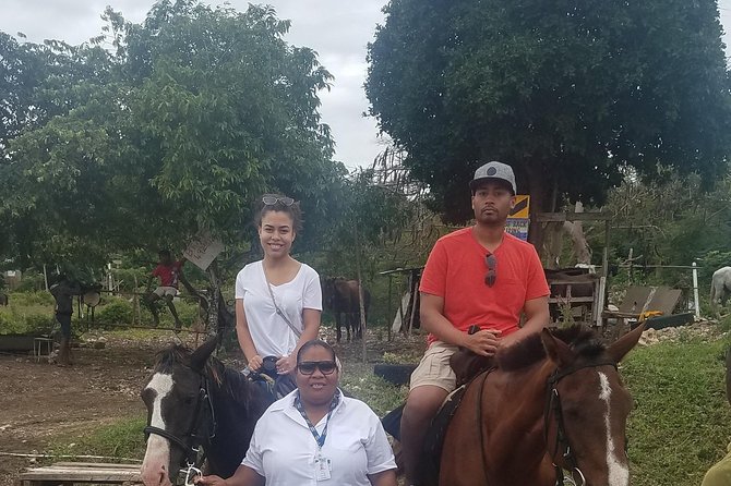 Hour Horseback Riding Guided Tour from Runaway Bay - What the private format changes