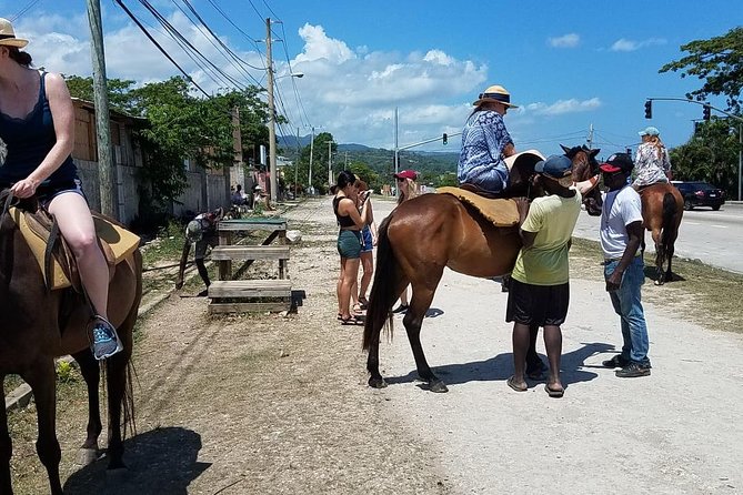 Hour Horseback Riding Guided Tour from Runaway Bay - Practical advice before you go