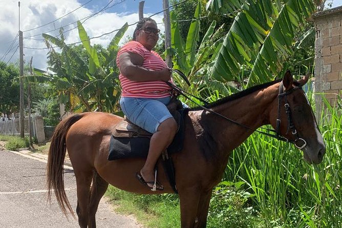 Hour Horseback Riding Guided Tour from Runaway Bay - Through villages and along the roadside