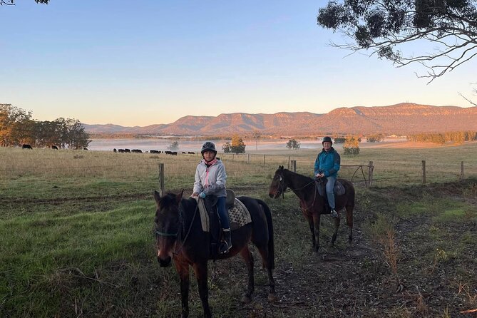 Hunter Valley Horse Ride - 90 Minutes -Vineyard & Mountain Views - A walking pace that suits beginners