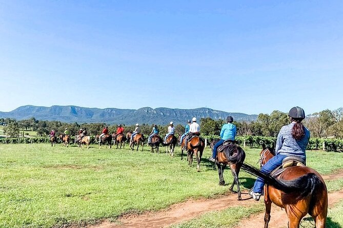 Hunter Valley Horse Ride - 90 Minutes -Vineyard & Mountain Views - The scenery is good, but the route has limits