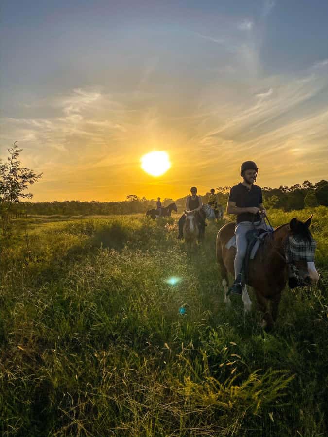 Hunter Valley: Sunset Horse Riding Tour 90min - Key points to know before booking