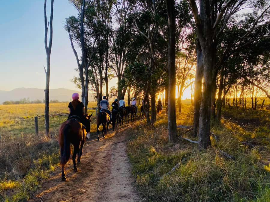 Hunter Valley: Sunset Horse Riding Tour 90min - Why sunset is the right time in Hunter Valley