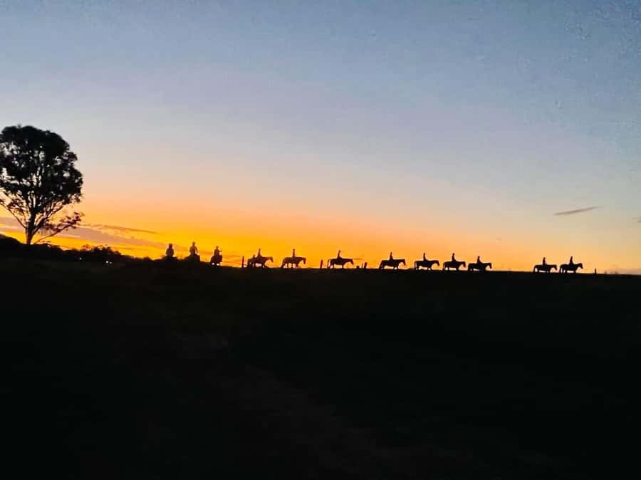 Hunter Valley: Sunset Horse Riding Tour 90min - Meeting your horse before the ride