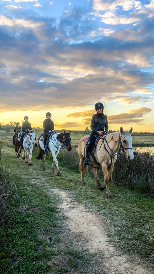Hunter Valley: Sunset Horse Riding Tour 90min - What the 90-minute route feels like