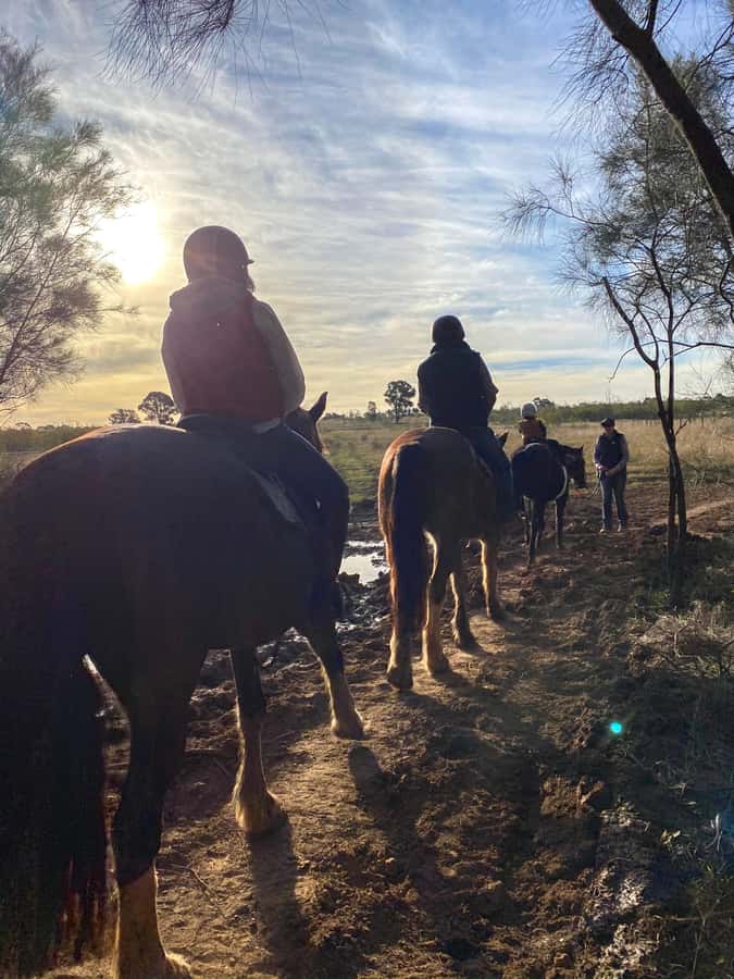 Hunter Valley: Sunset Horse Riding Tour 90min - Who will enjoy this ride most