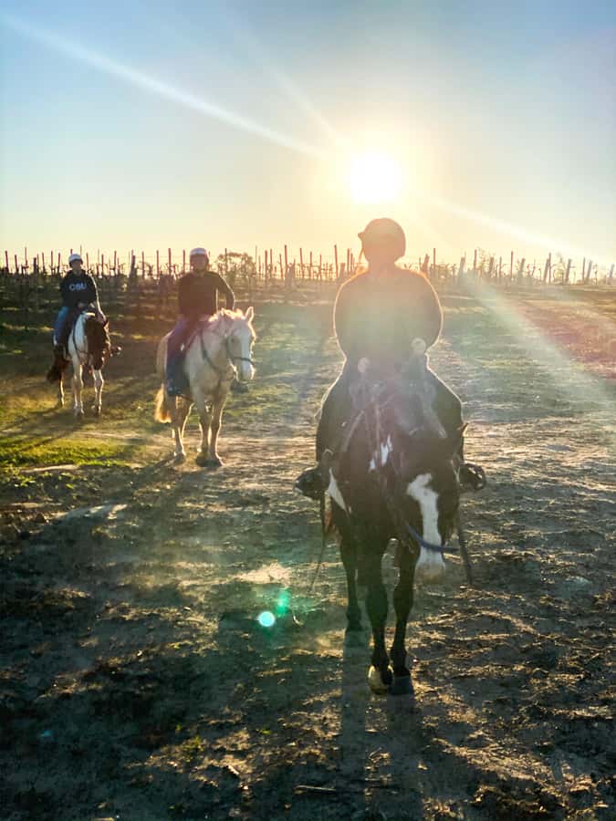 Hunter Valley: Sunset Horse Riding Tour 90min - Practical preparation for a comfortable ride