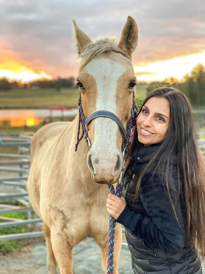Hunter Valley: Sunset Horse Riding Tour 90min - How this compares with a private sunset ride