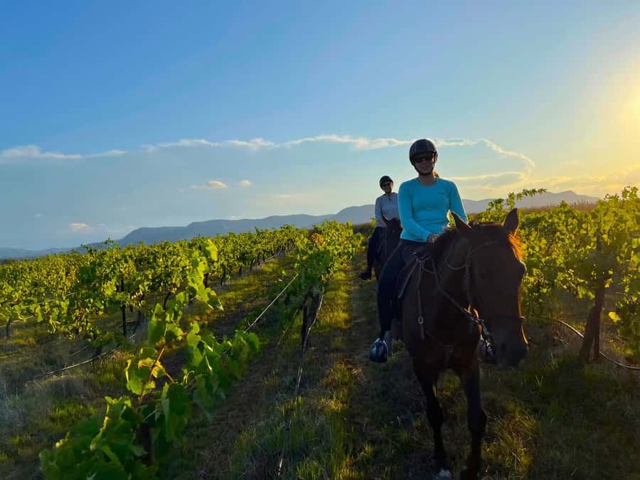 Hunter Valley: Sunset Horse Riding Tour 90min - Arriving at Hunter Valley Resort