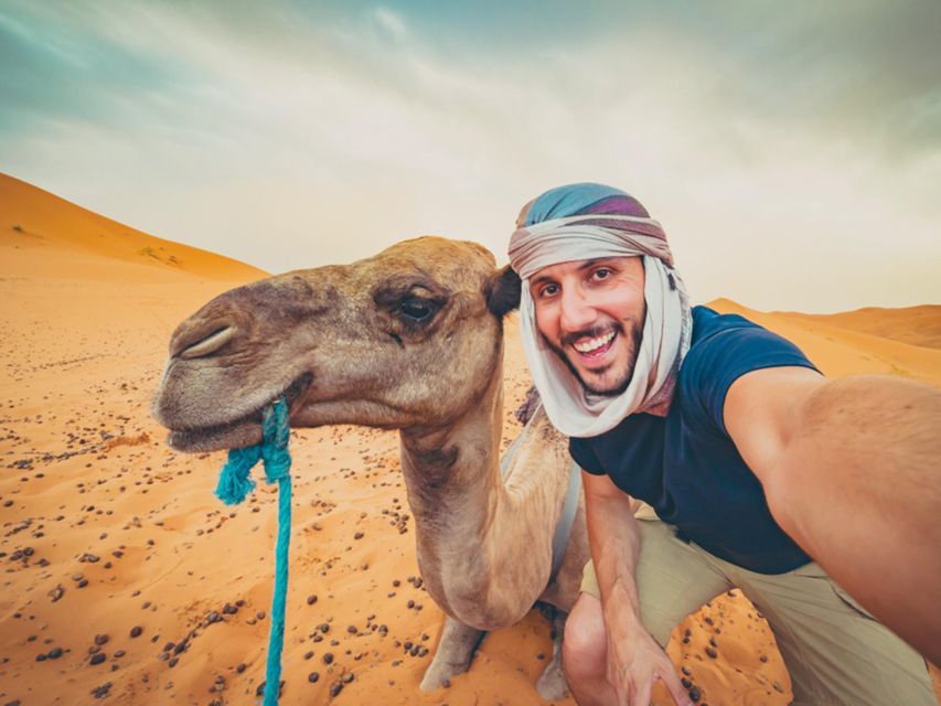 Hurghada: 4 Days Tour Horse, Camel, Spa, ATV, Jeep & Dolphin - What the $244 price really covers