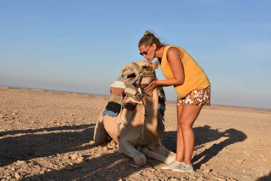 Hurghada: Camel Ride & horse ride and Off-Road Jeep Tour - One hour by camel through valleys and mountains