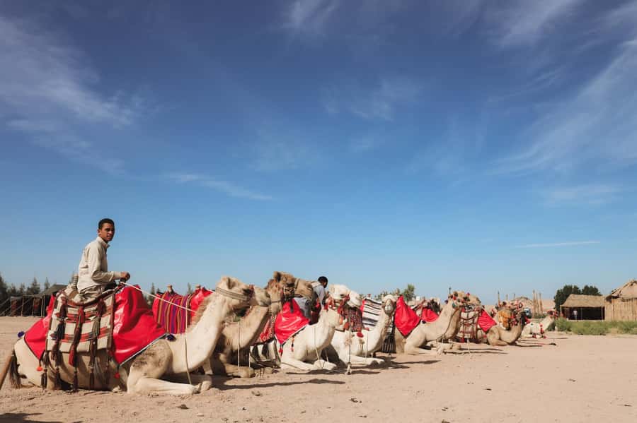Hurghada: Camel Ride & horse ride and Off-Road Jeep Tour - How to prepare for the desert