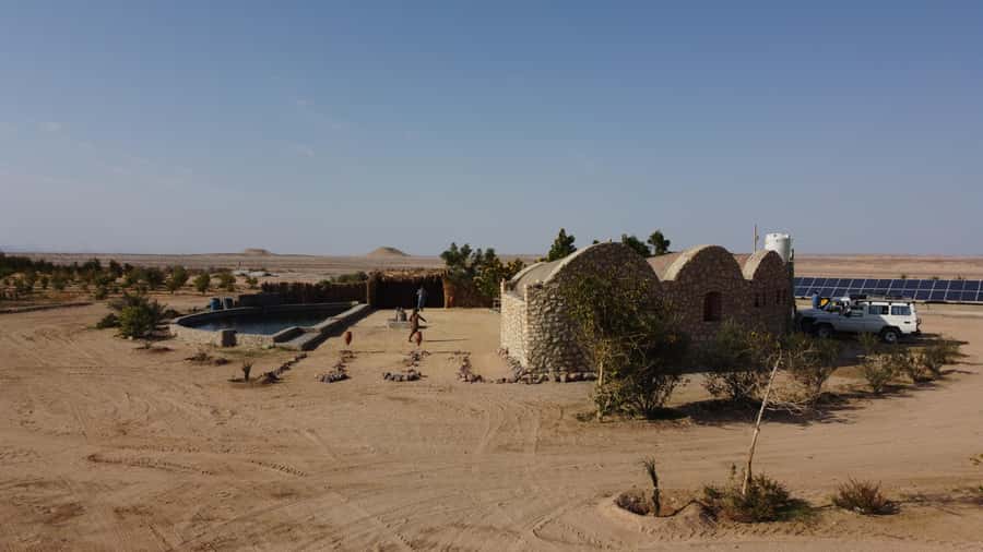 Hurghada: Camel Ride & horse ride and Off-Road Jeep Tour - Tea, coffee, dates, and the farm stop
