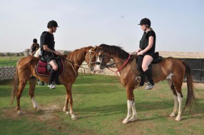 Horse Ride, BBQ Dinner, and Stargazing