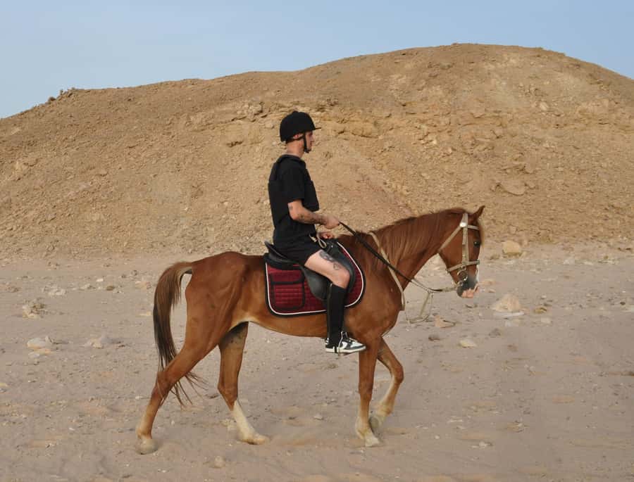 Hurghada: Horse Ride, BBQ Dinner, and Stargazing - Languages, Timing, and Practical Preparation