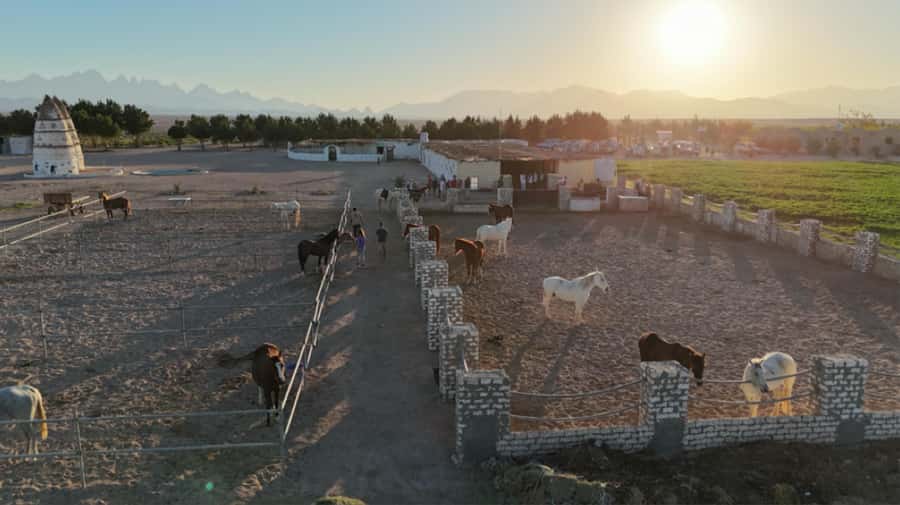 Hurghada: Horse Riding & Safari Adventure - Leaving Hurghada for the Red Sea Desert