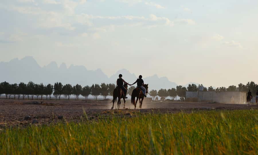 Hurghada: Horse Riding & Safari Adventure - Tea, Dates, Snacks, and a Needed Rest