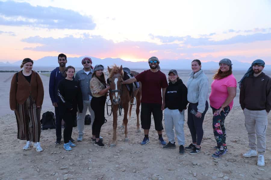 Hurghada: Horse Riding & Safari Adventure - Should You Book This Horse Safari?