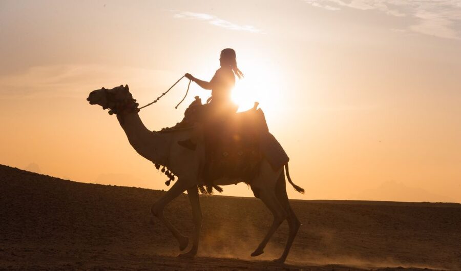 Hurghada: Quad Bike Safari, Camel Horse Ride, Dinner & Shows - Stargazing with an astronomer
