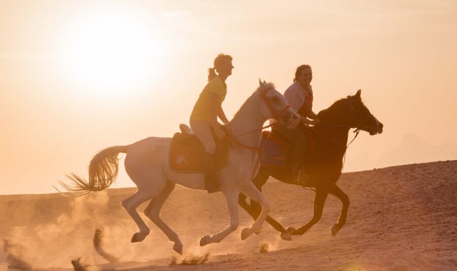 Hurghada: Quad Bike Safari, Camel Horse Ride, Dinner & Shows - Practical tips for a smoother day