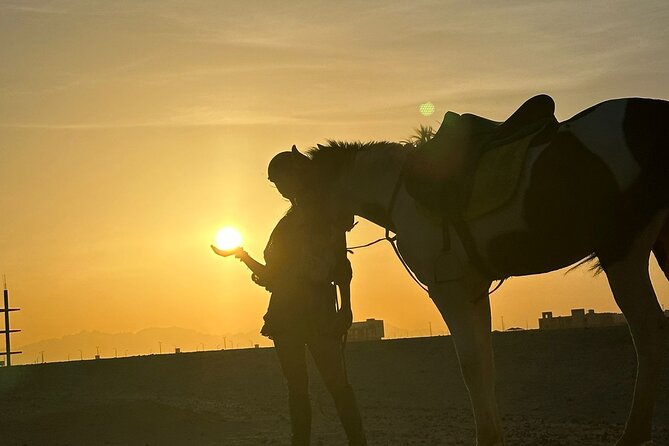 Hurghada: Red Sea & Desert Horse Riding Tour with Swimming - Horses, Handling, and Safety