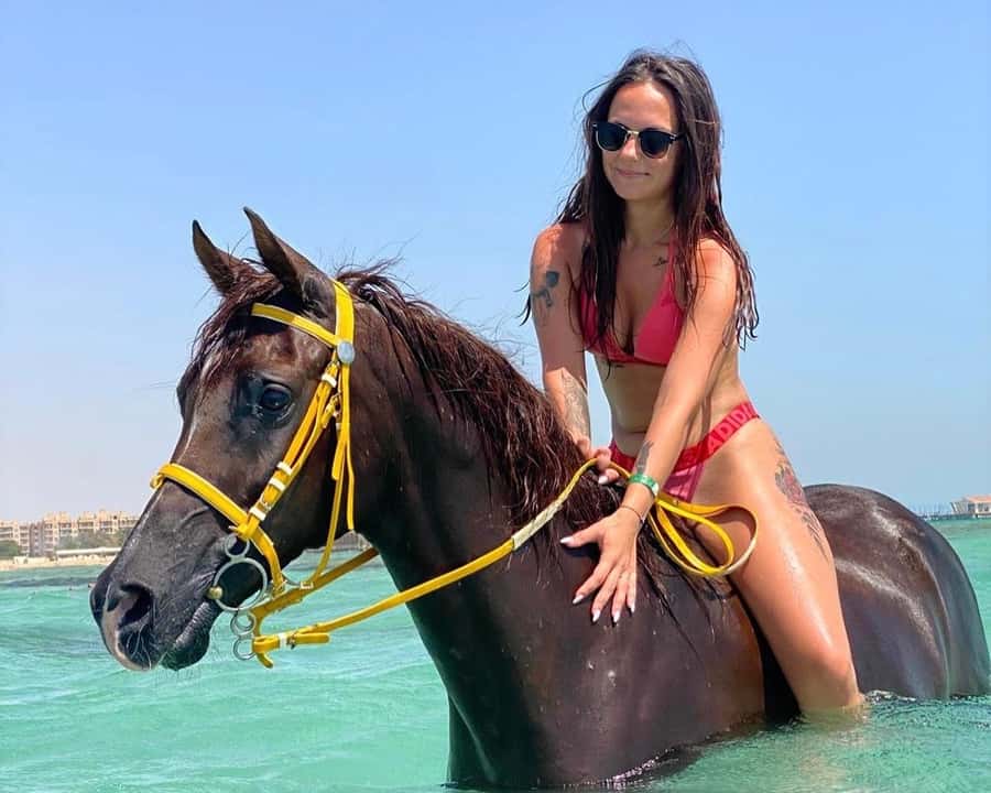 Hurghada: Sea & Desert Horse Riding tour/w Swimming&Transfer - Choosing the right length and pace