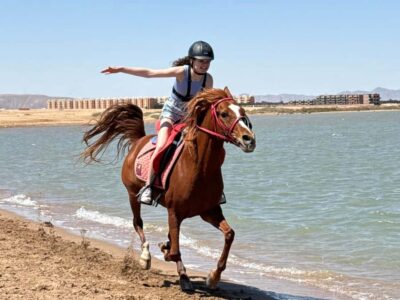 Sea & Desert Horse Riding tour/w Swimming&Transfer