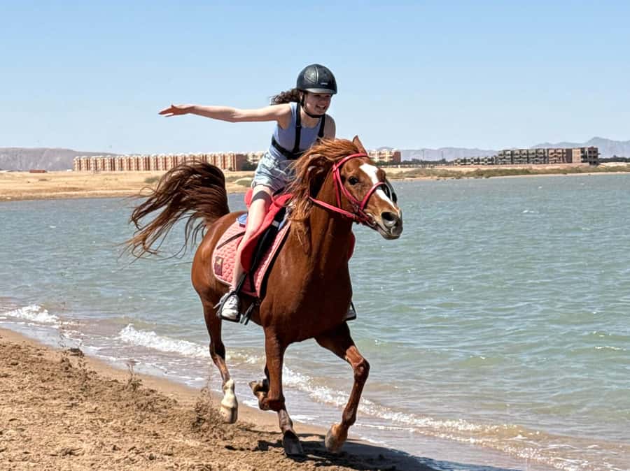 Hurghada: Sea & Desert Horse Riding tour/w Swimming&Transfer - Starting at Lucky Horses Stable