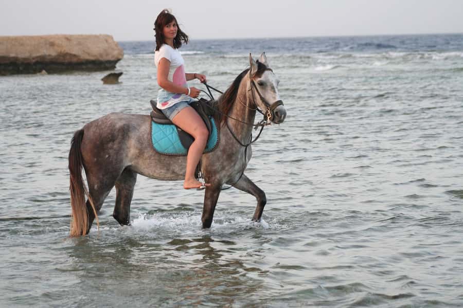 Hurghada: Sea & Desert Horse Tour, Stargazing, Dinner & Show - The standard two-hour ride